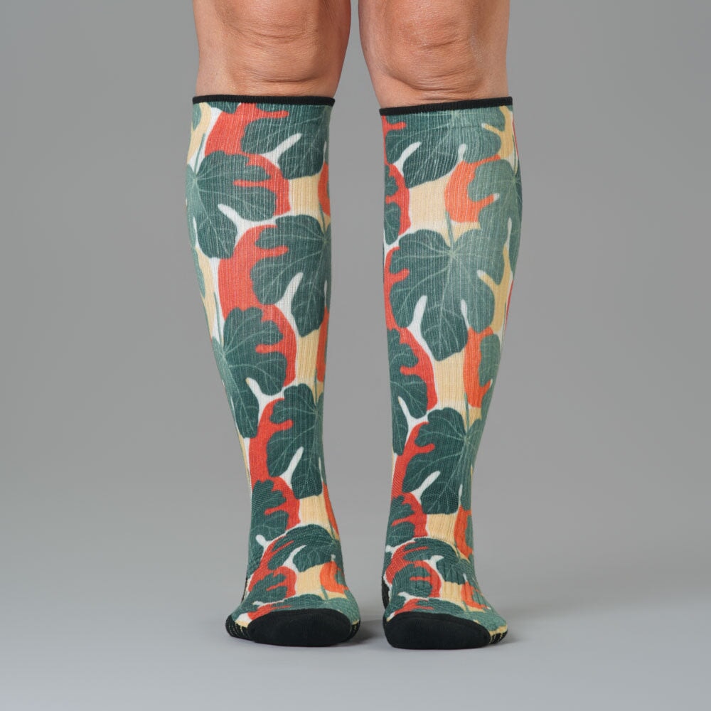 Summer Harvest Compression Socks 5-Pack Bundle
