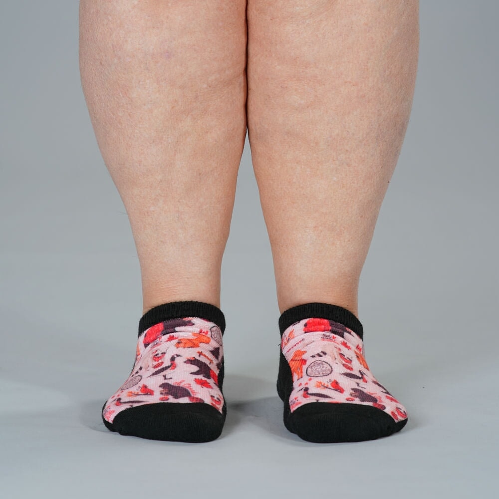 True North Ankle Socks 5-Pack Bundle