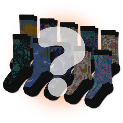 Mystery EasyStretch™ Socks Bundle 10-Pack